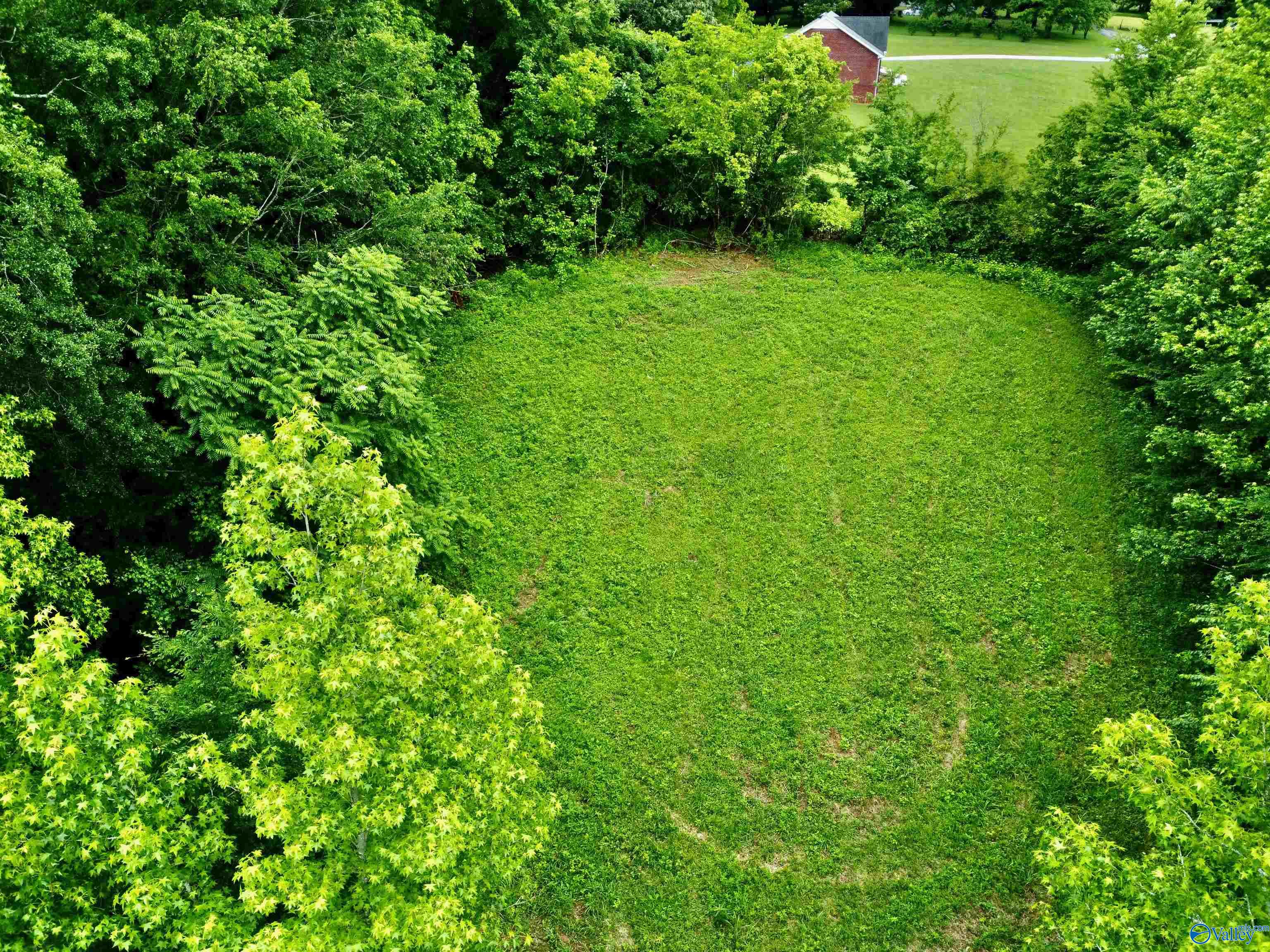 8.5 Acres Compton Street, Elkmont, Alabama image 15