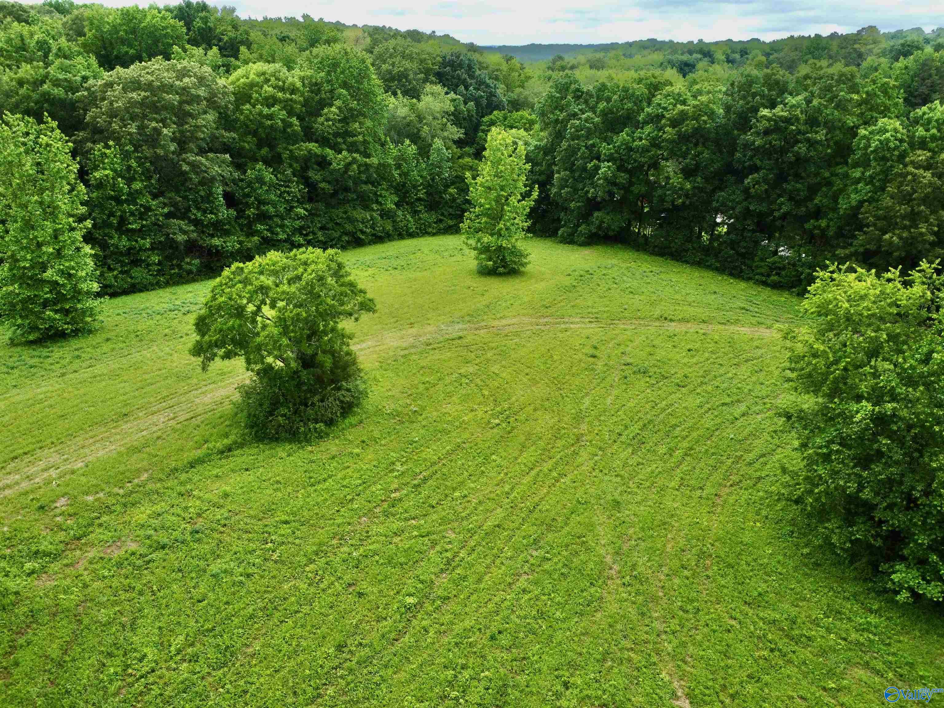 8.5 Acres Compton Street, Elkmont, Alabama image 16