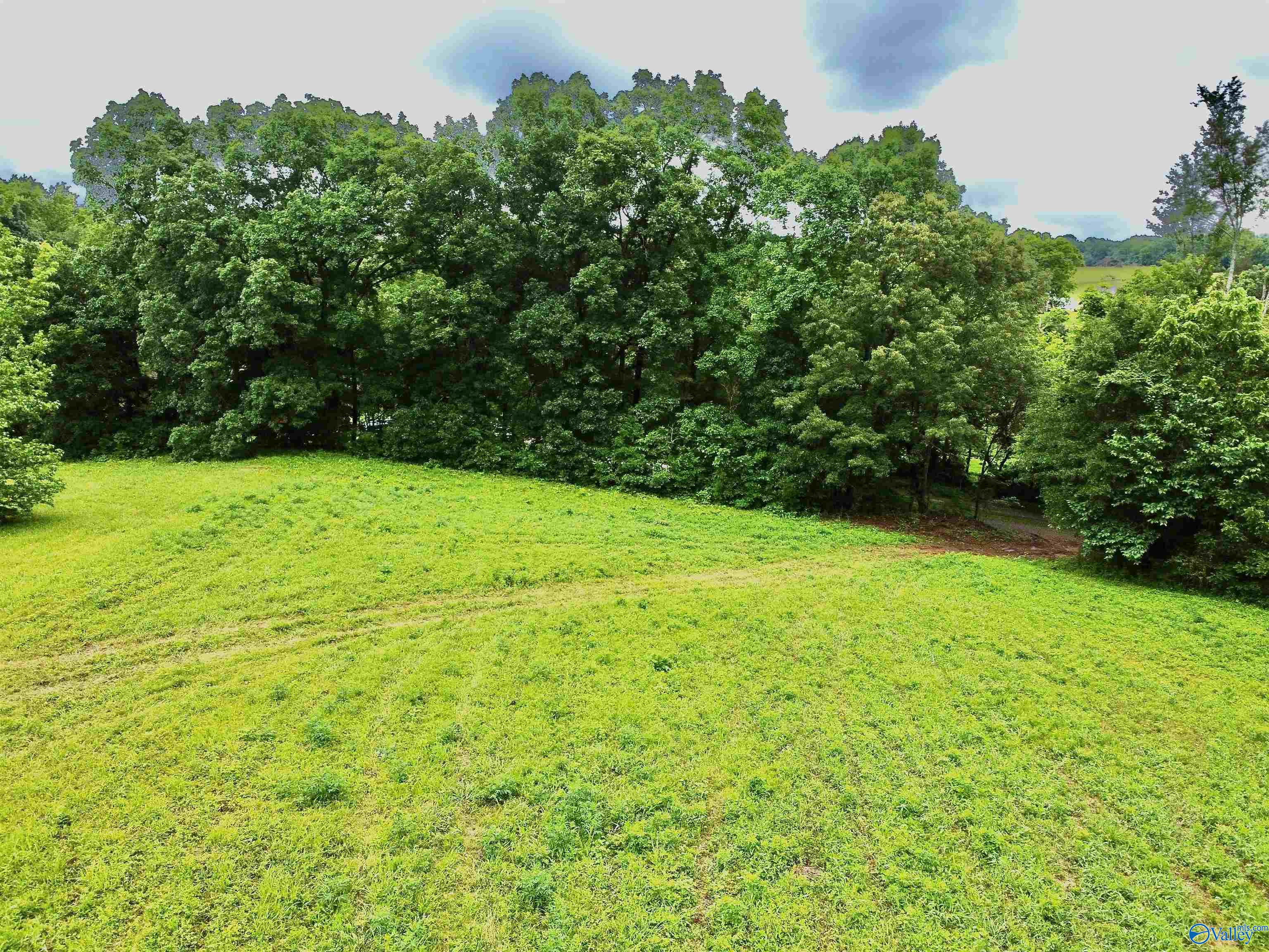 8.5 Acres Compton Street, Elkmont, Alabama image 3