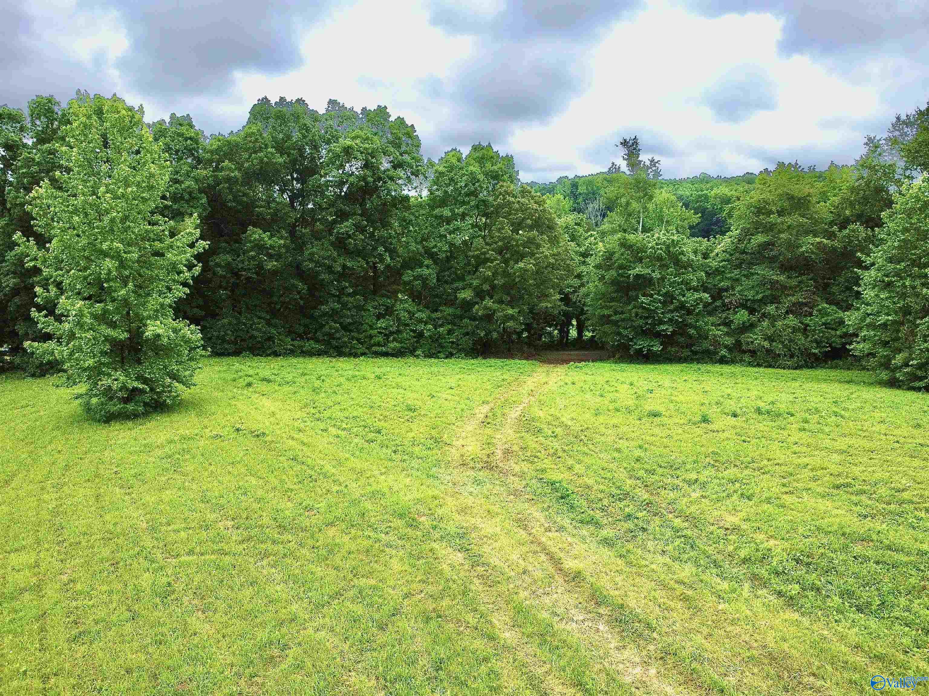 8.5 Acres Compton Street, Elkmont, Alabama image 8