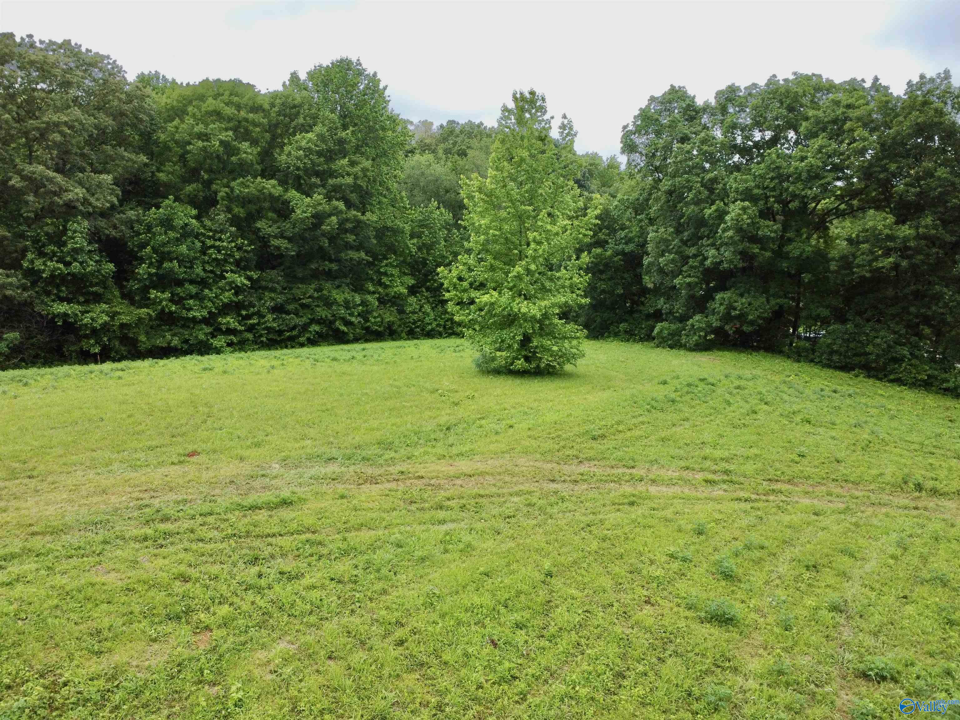 8.5 Acres Compton Street, Elkmont, Alabama image 4