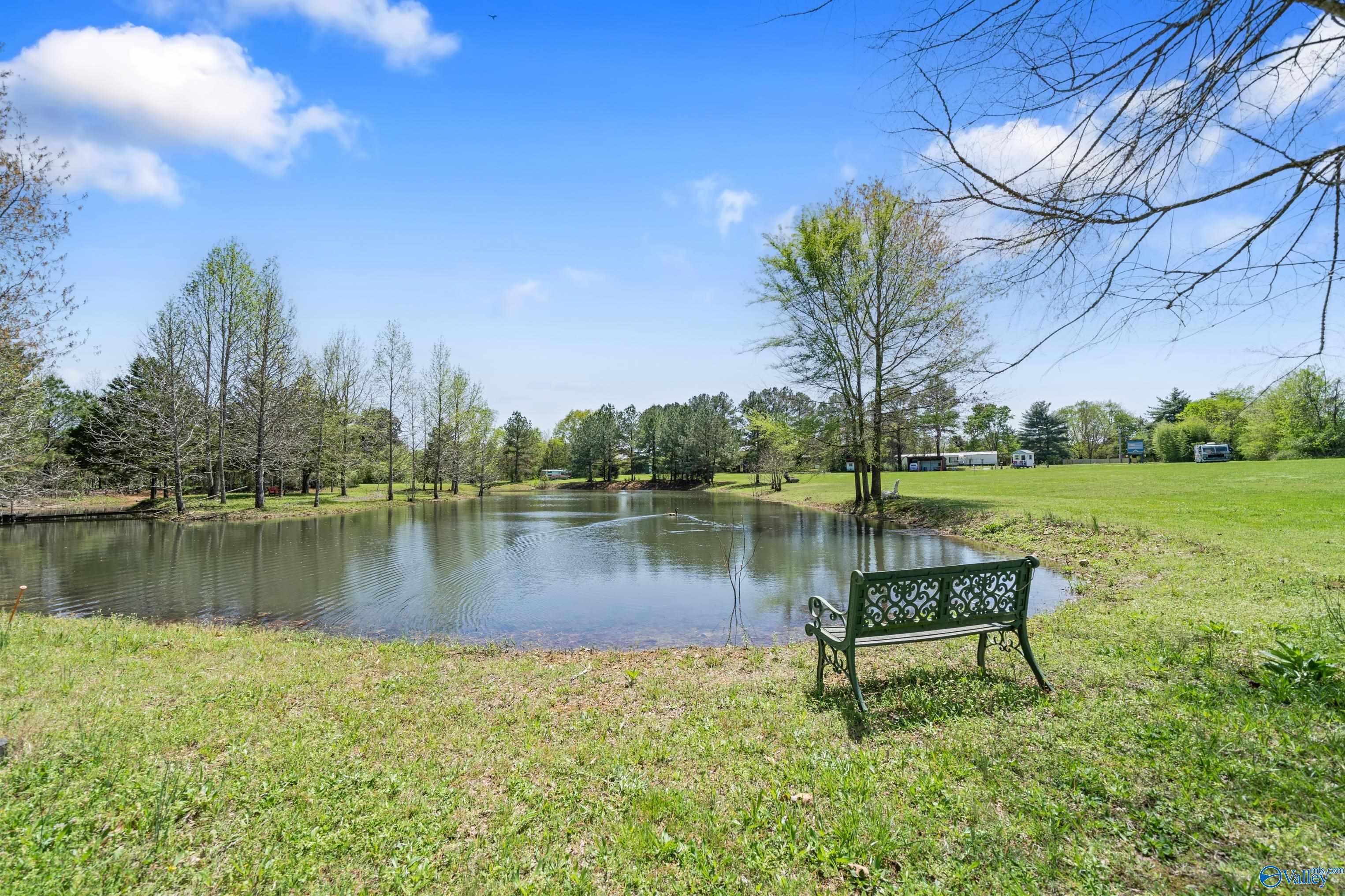 5655 Maysville Road, New Market, Alabama image 27