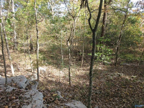 Homes For Sale - 27 Alabama Avenue<br/> Scottsboro, AL 35768