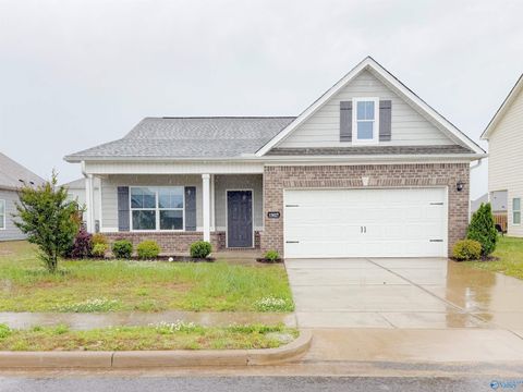 Homes For Sale - 13027 Lantern Pointe Way<br/> Harvest, AL 35749