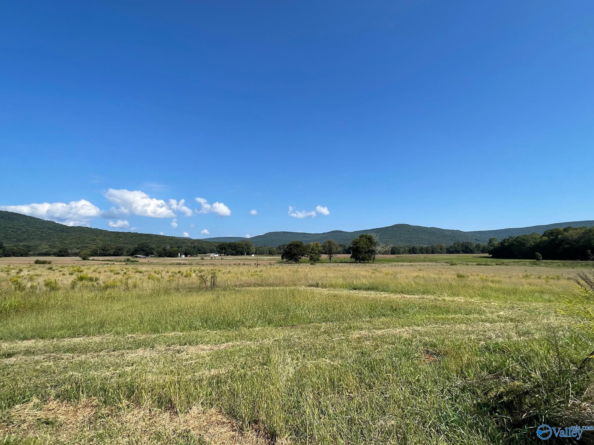 132 County Road 753, Fackler, Alabama image 8