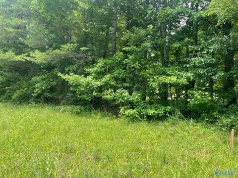 Vacant Land For Sale - 8.1AC County Road 1198<br/> Cullman, AL 35057