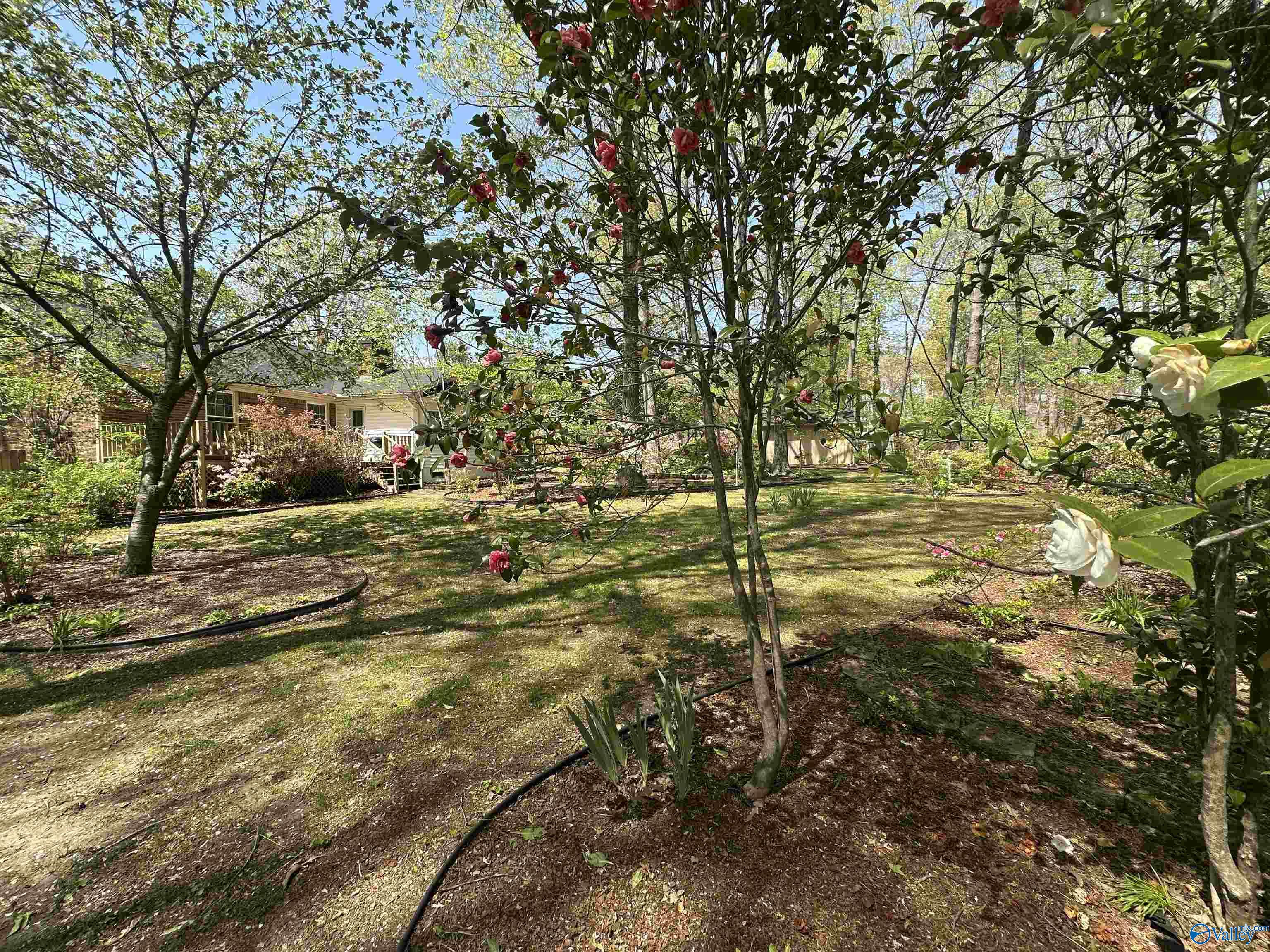 2008 Oakleaf Lane, Arab, Alabama image 29