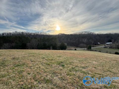 Vacant Land For Sale - 15 Ragsdale Creek Road<br/> Elkmont, AL 35620