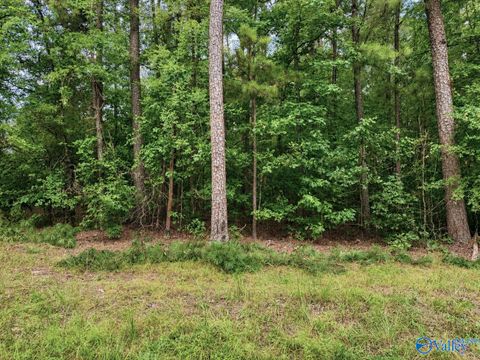 Vacant Land For Sale - LOT 80 County Road 608<br/> Cedar Bluff, AL 35959
