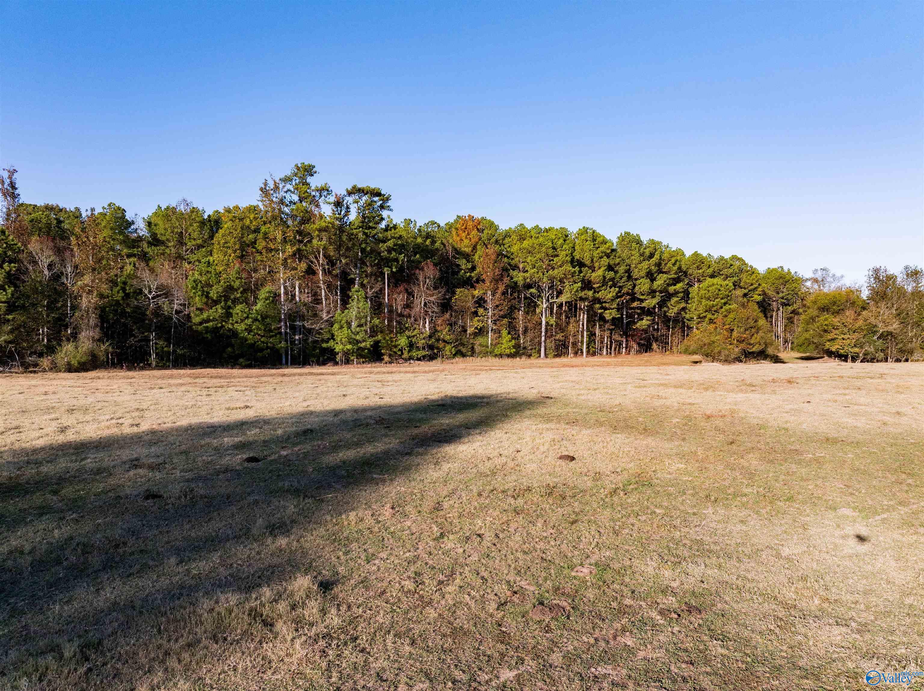 57 ACRE LOT County Road 44, Section, Alabama image 11