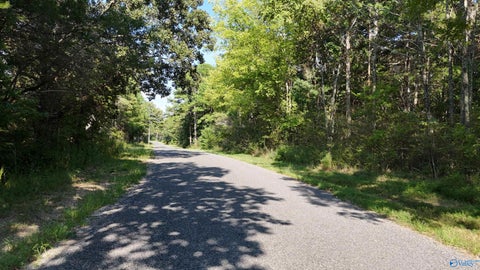 Vacant Land For Sale - 994 County Road 72<br/> Cherokee County, Mentone, AL 35984