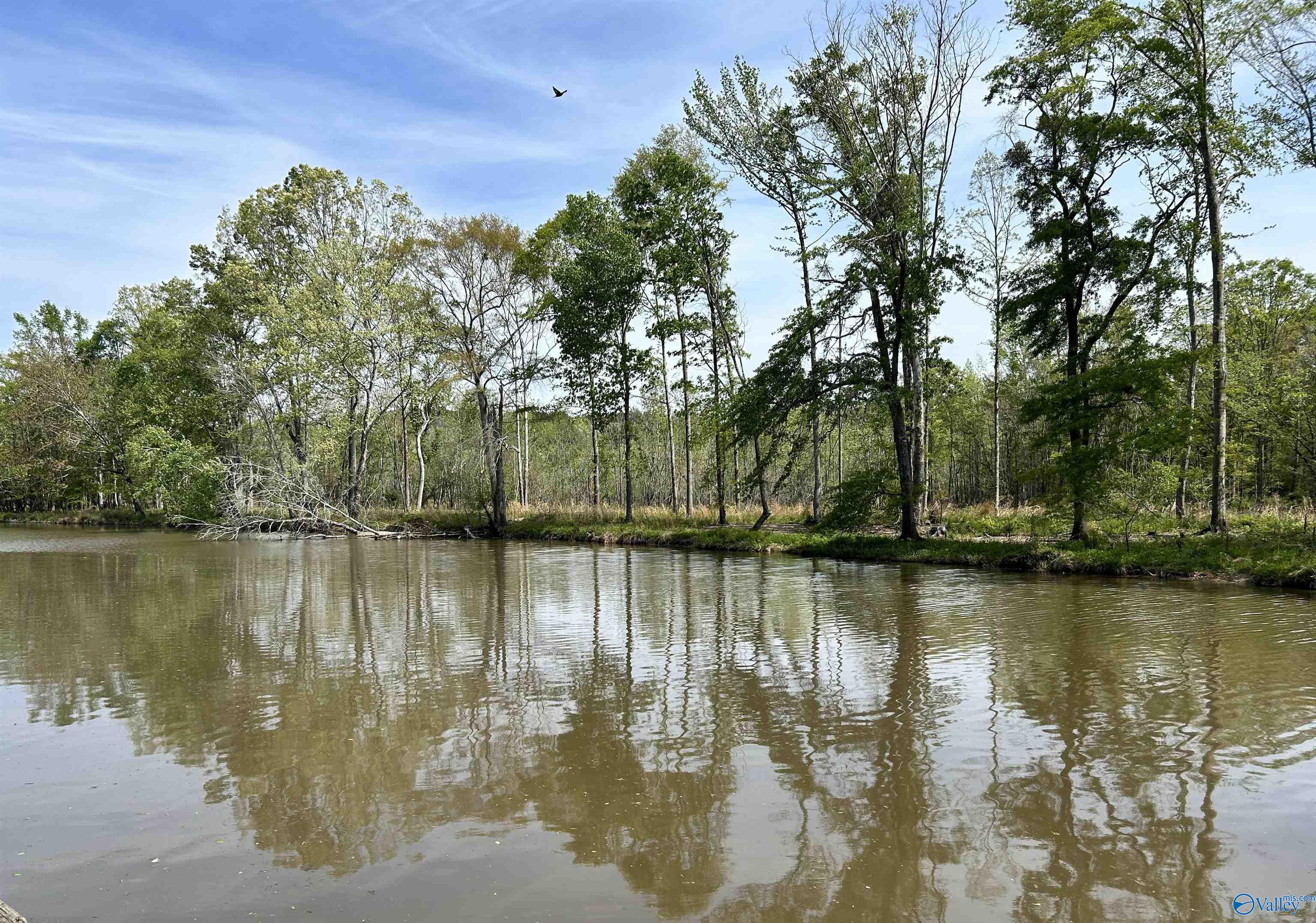 Lot 66 Noah Campground