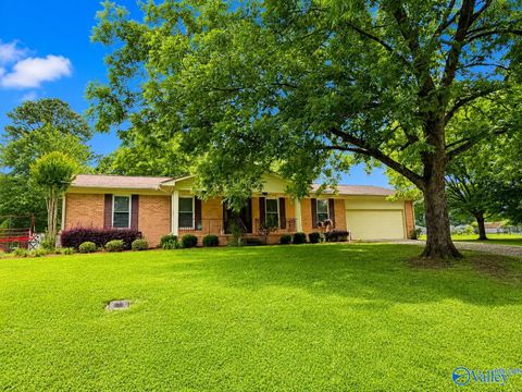 Photo of 3582 Vistamont Circle S, Southside, AL 35907 (MLS # 21919503)