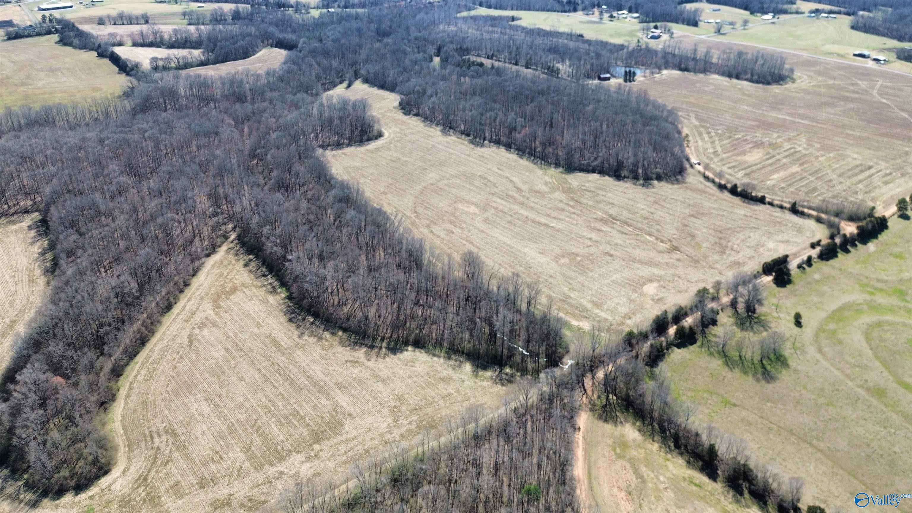 2 Holland Road, Athens, Alabama image 4