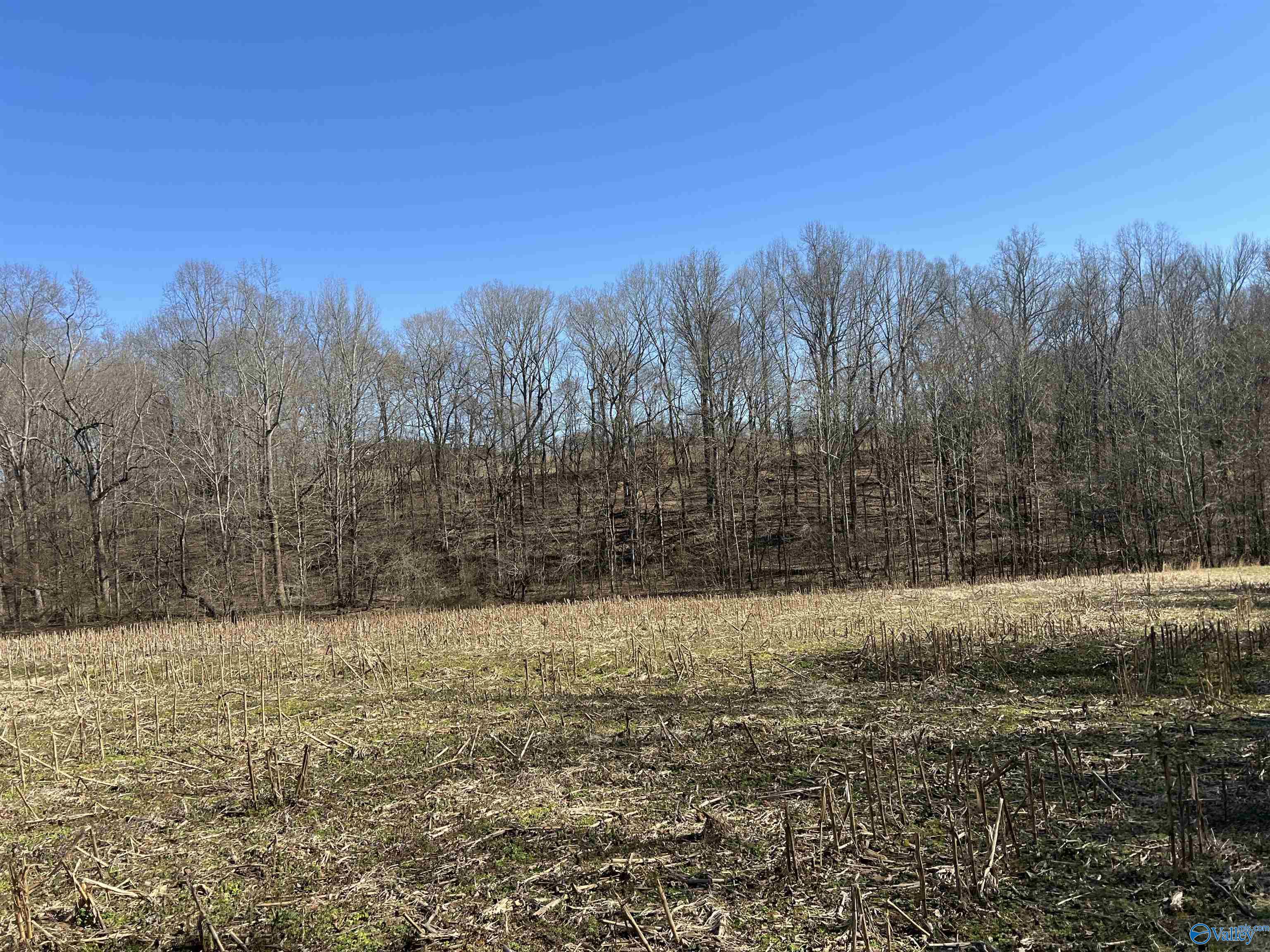 2 Holland Road, Athens, Alabama image 12