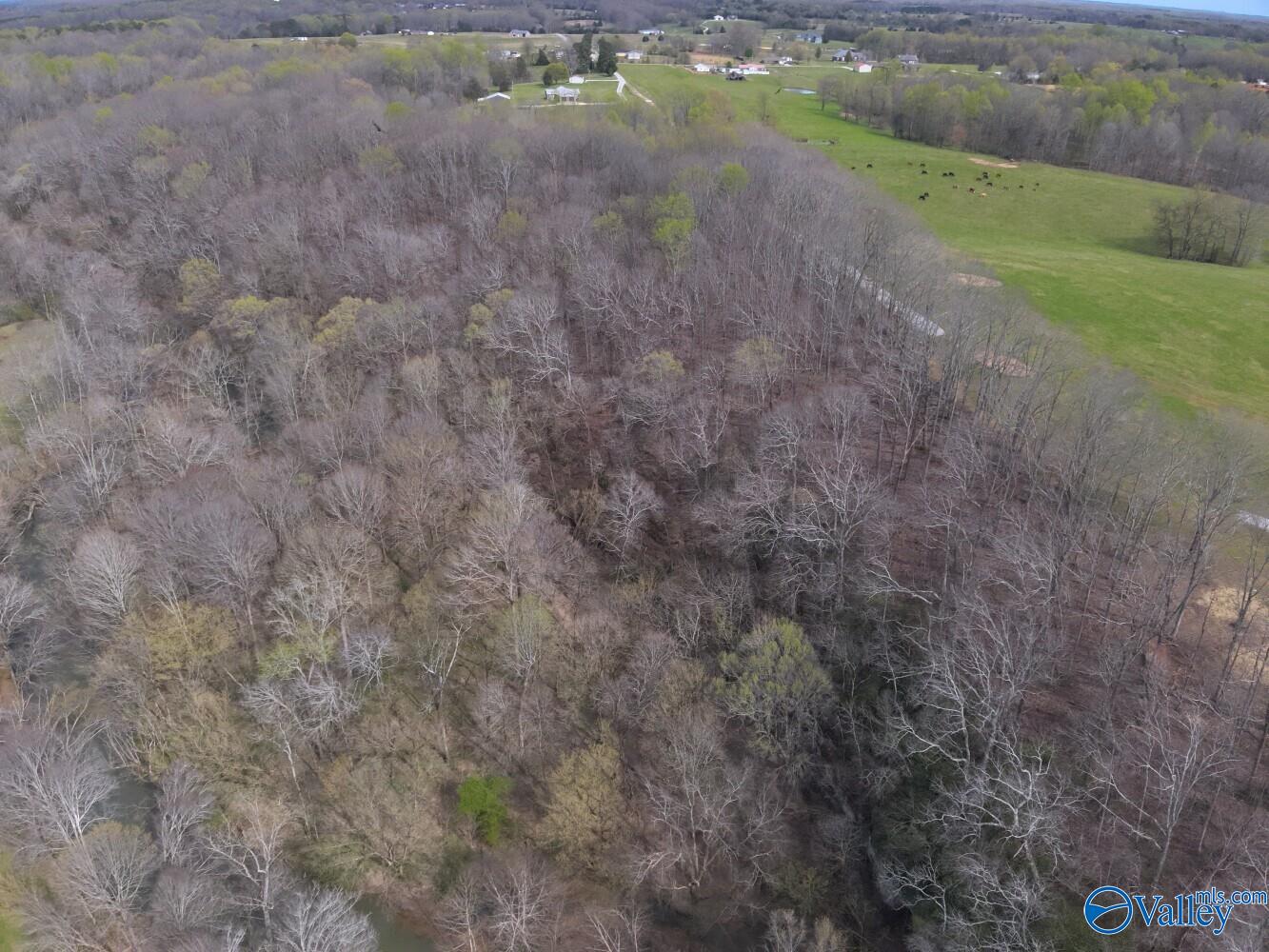 33+/- Corum Circle, Lexington, Alabama image 3