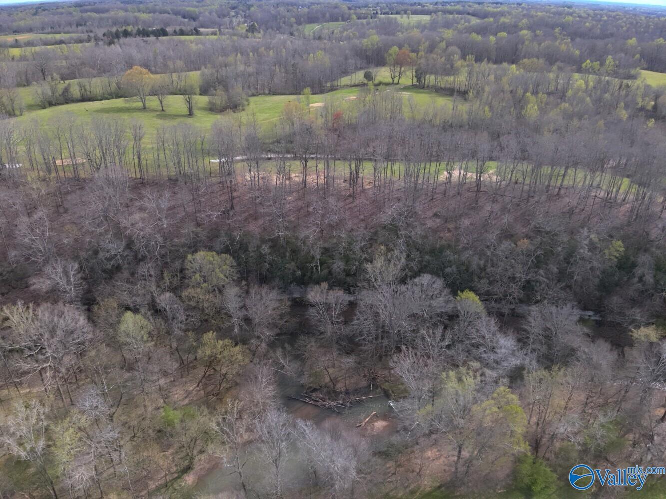33+/- Corum Circle, Lexington, Alabama image 6