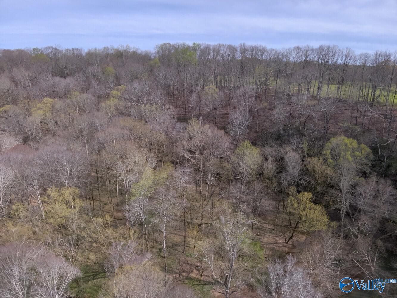 33+/- Corum Circle, Lexington, Alabama image 32