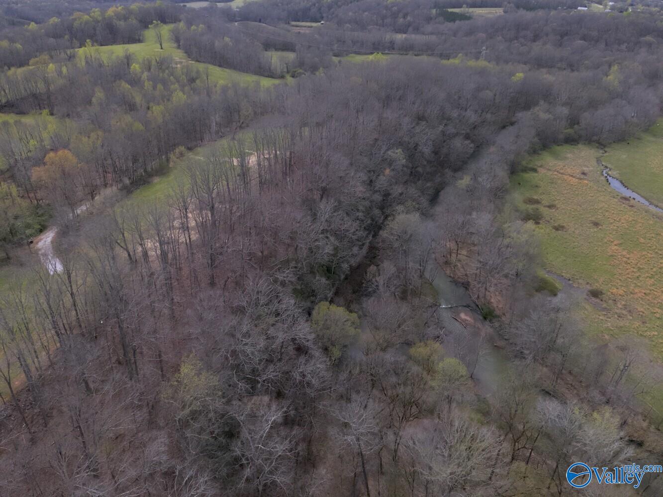 33+/- Corum Circle, Lexington, Alabama image 39