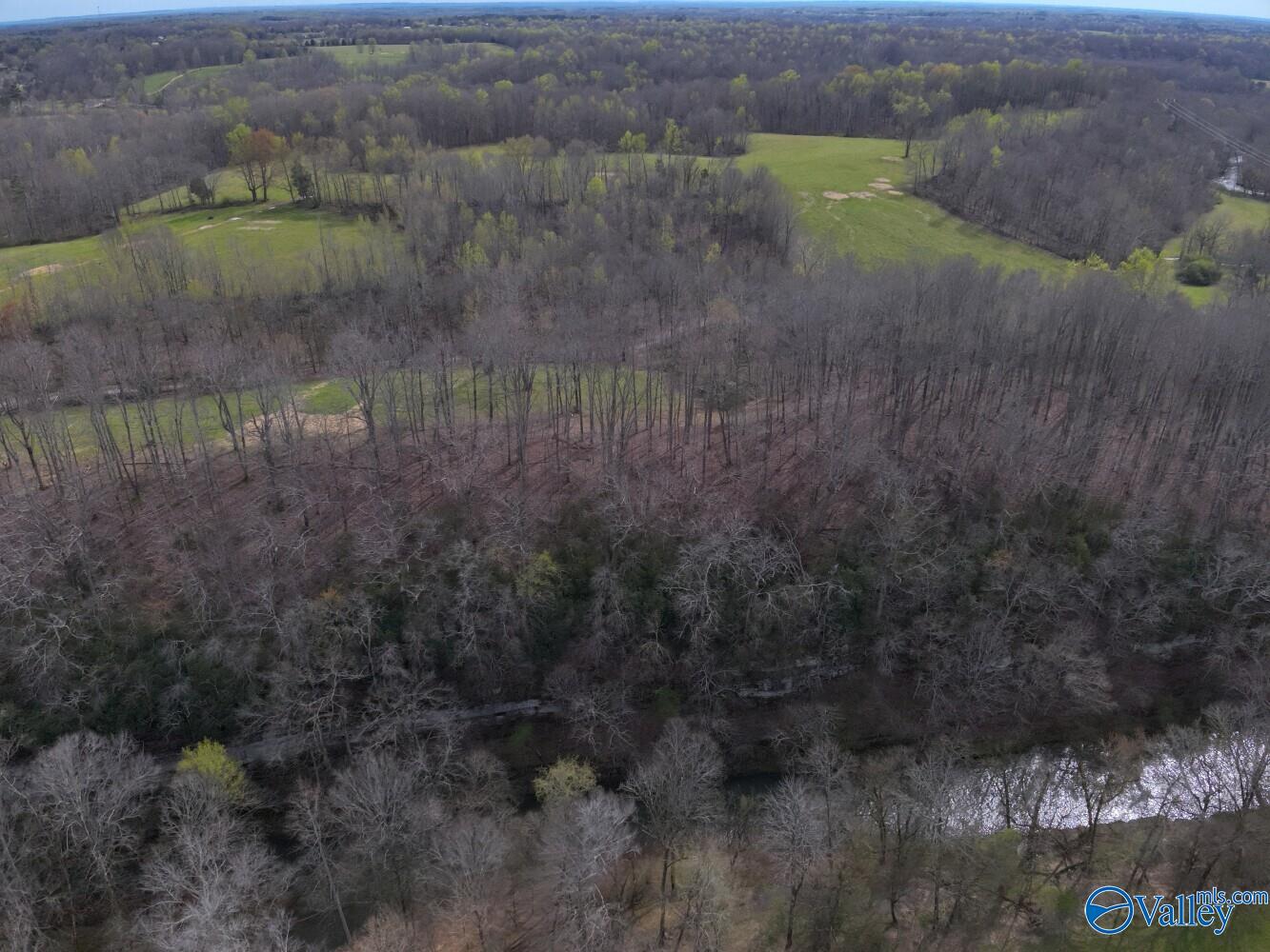 33+/- Corum Circle, Lexington, Alabama image 4