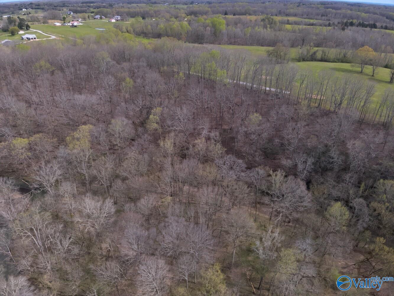33+/- Corum Circle, Lexington, Alabama image 7