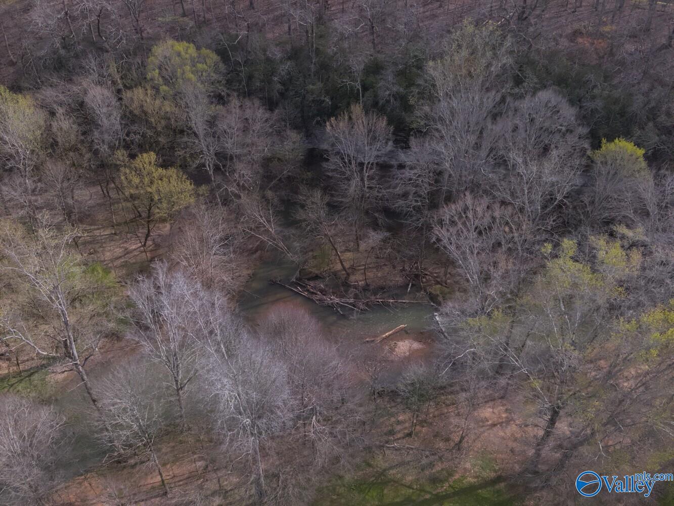33+/- Corum Circle, Lexington, Alabama image 24