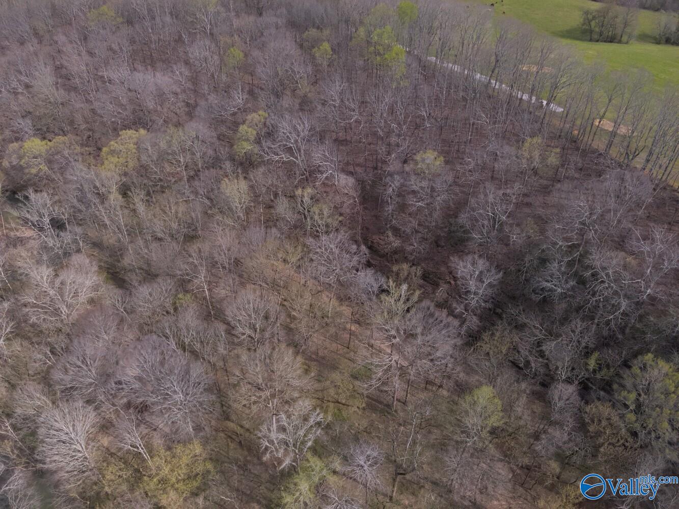 33+/- Corum Circle, Lexington, Alabama image 23