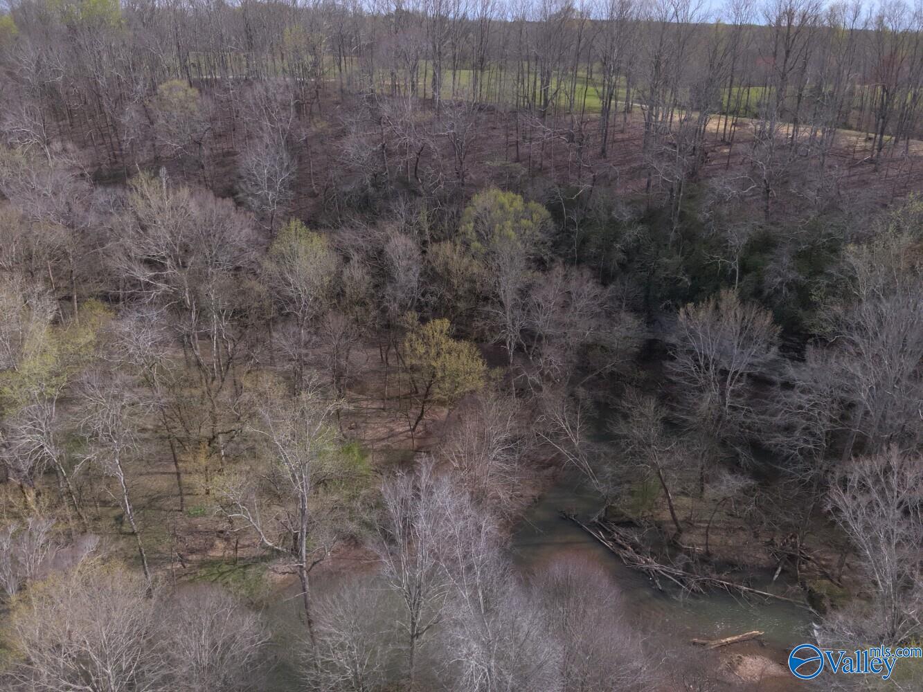 33+/- Corum Circle, Lexington, Alabama image 12