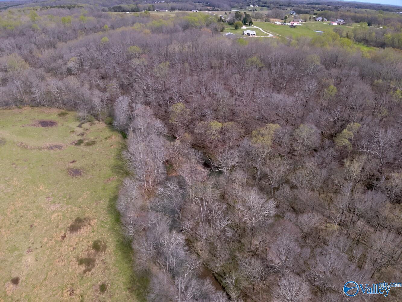 33+/- Corum Circle, Lexington, Alabama image 8