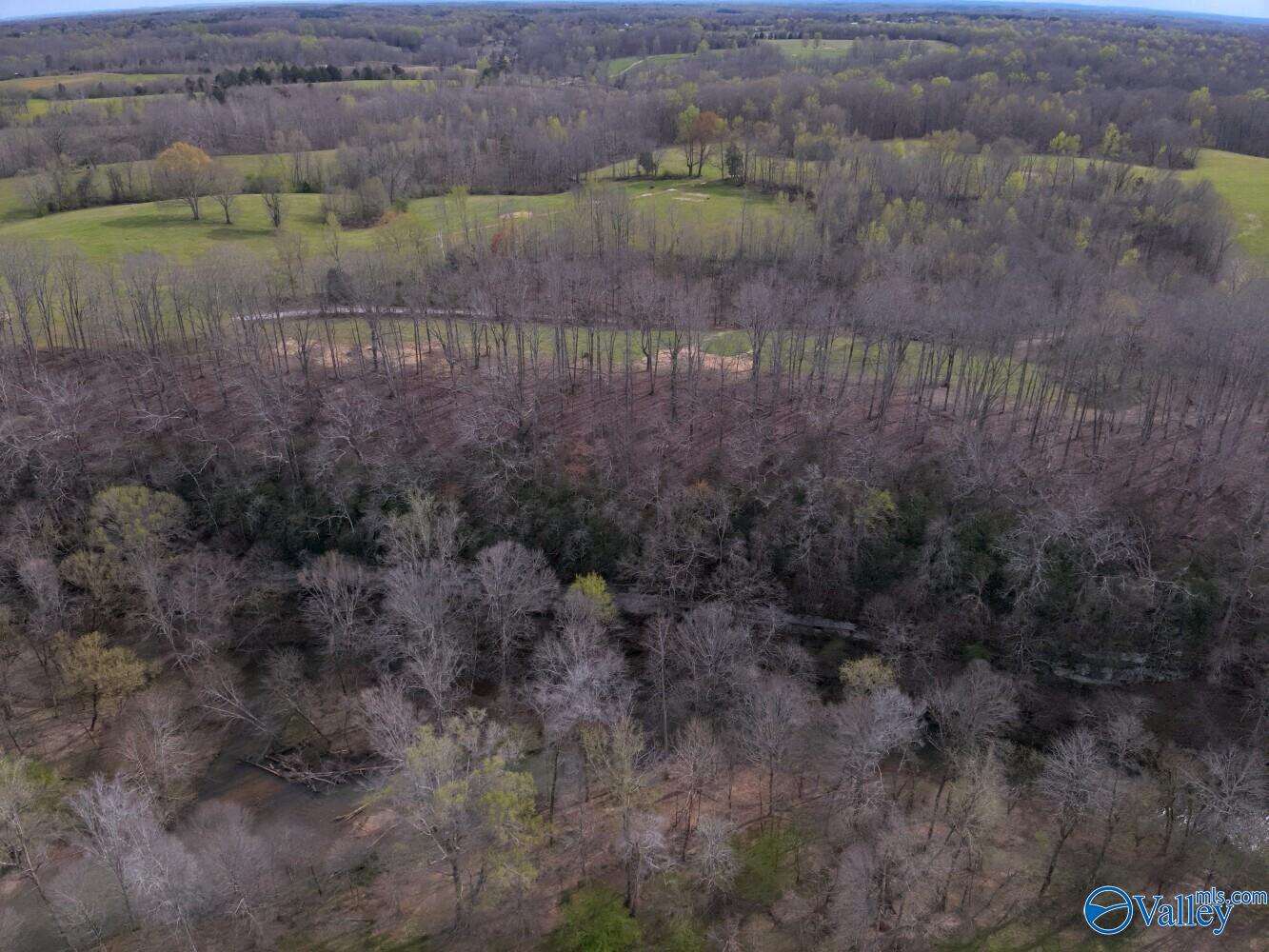 33+/- Corum Circle, Lexington, Alabama image 5