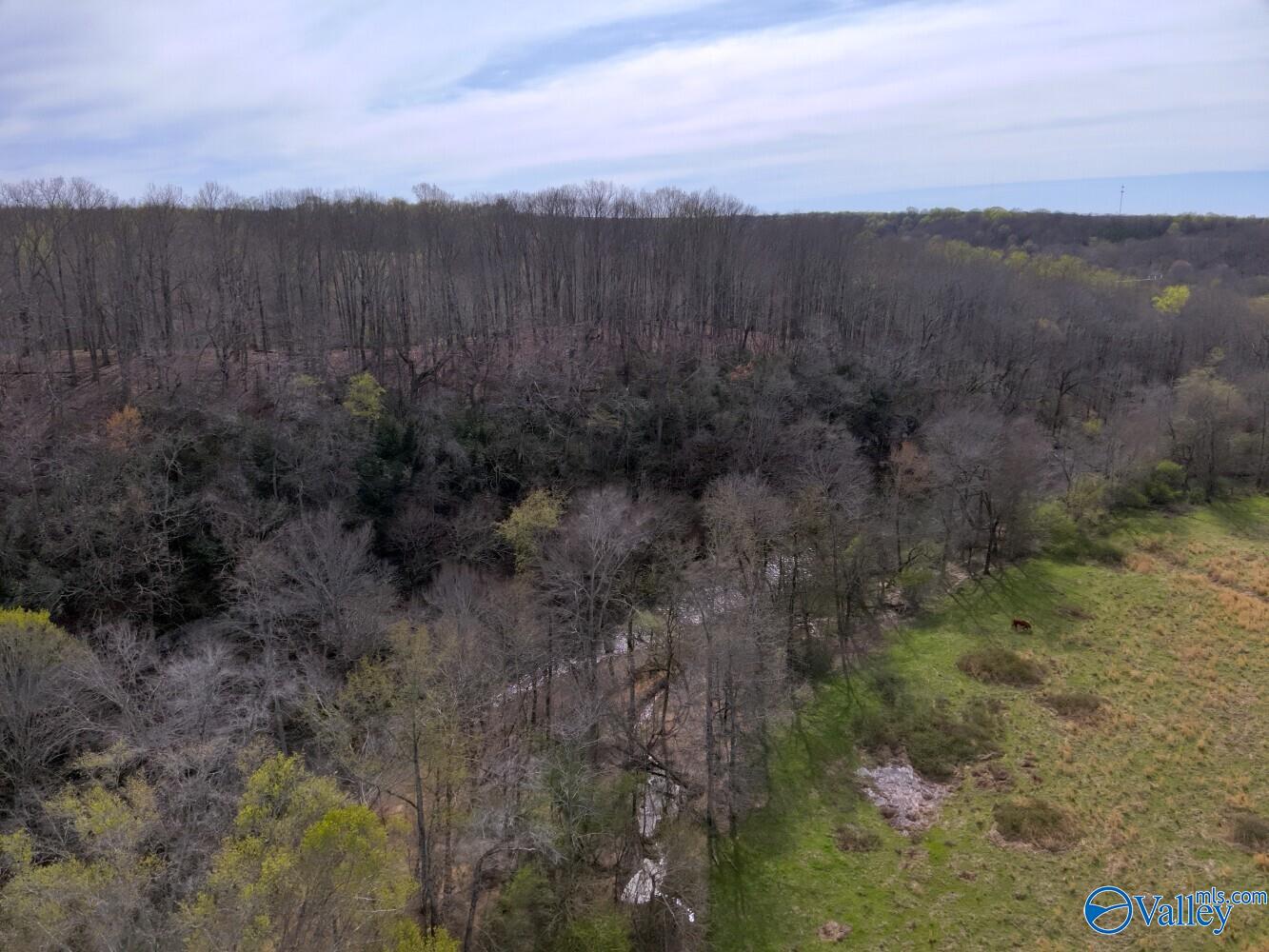 33+/- Corum Circle, Lexington, Alabama image 21