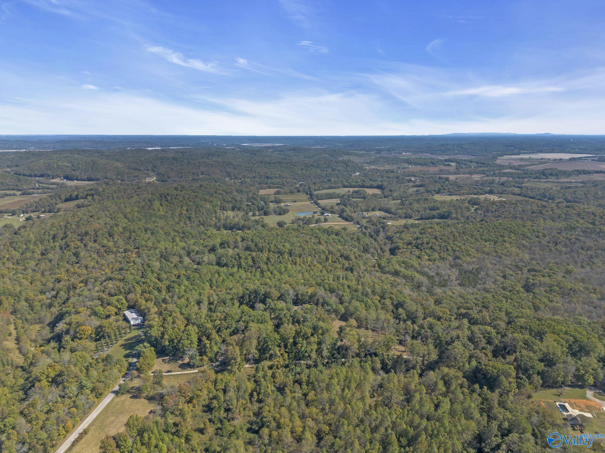 35+/- Acres Alf Harris Road, Prospect, Tennessee image 17