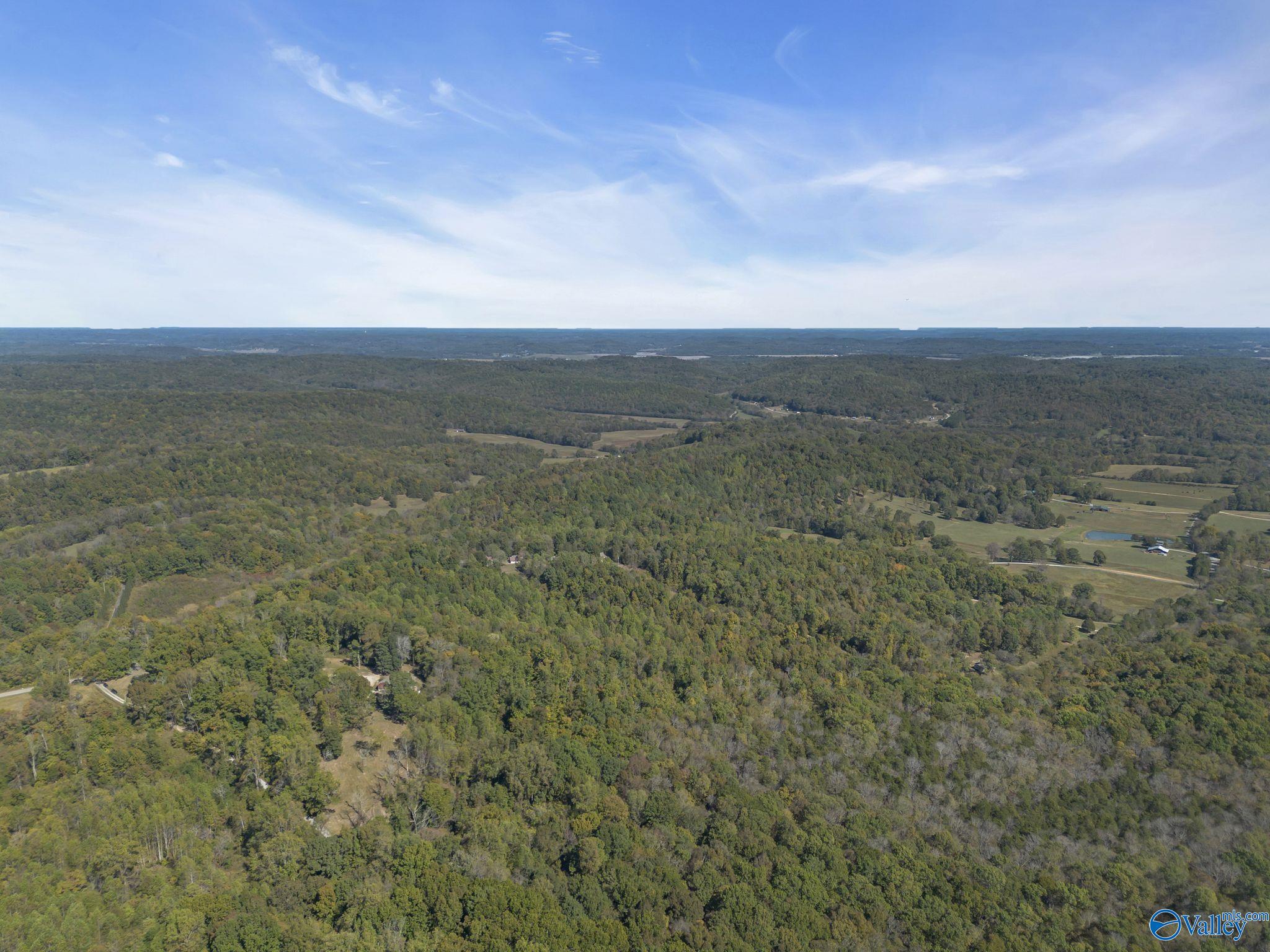 35+/- Acres Alf Harris Road, Prospect, Tennessee image 20