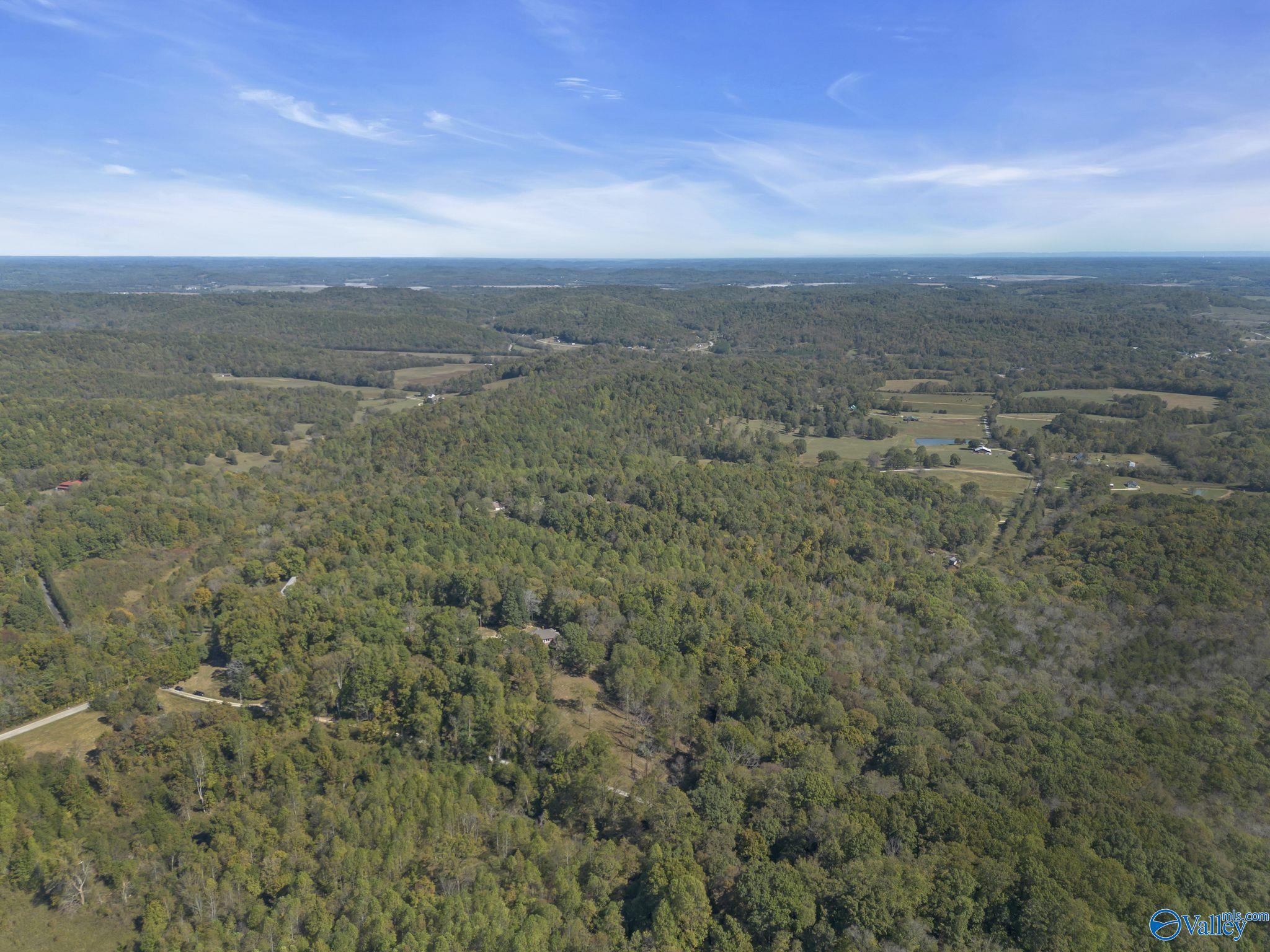 35+/- Acres Alf Harris Road, Prospect, Tennessee image 19