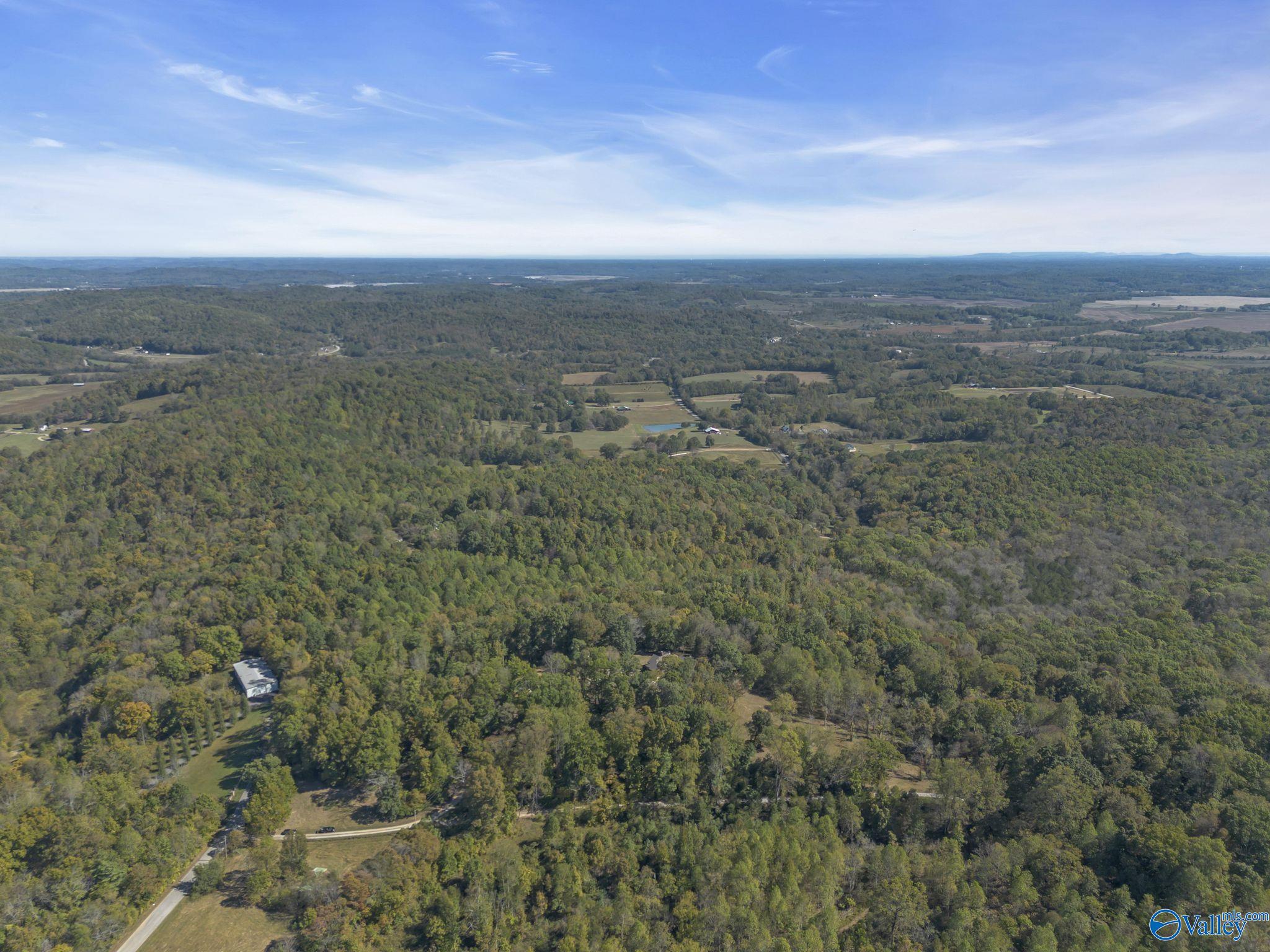 35+/- Acres Alf Harris Road, Prospect, Tennessee image 18