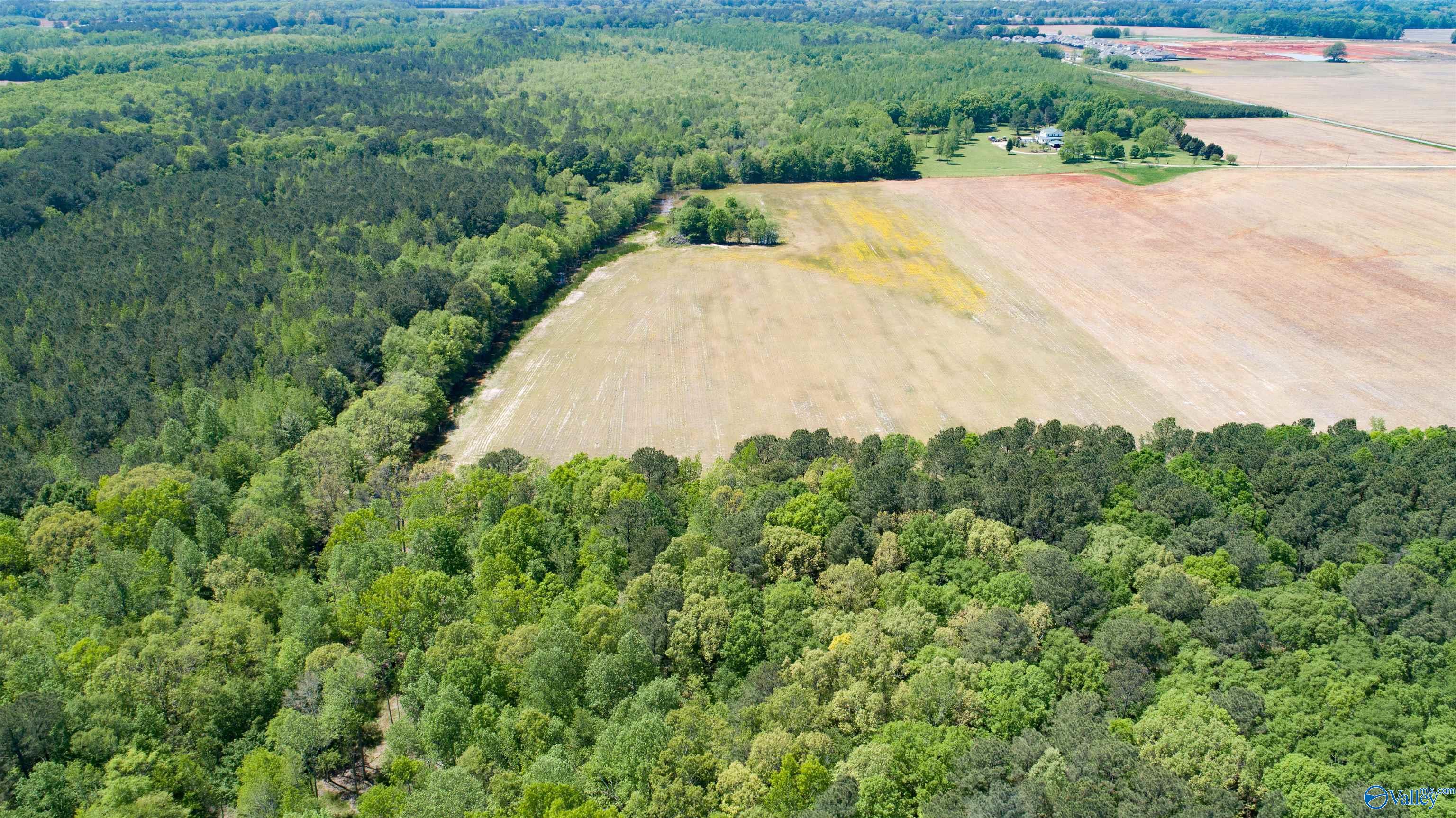 356 Bo Howard Road, Toney, Alabama image 8