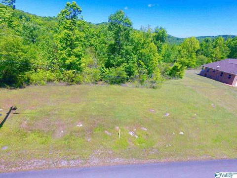 Vacant Land For Sale - 35 Tara Drive<br/> Guntersville, AL 35976