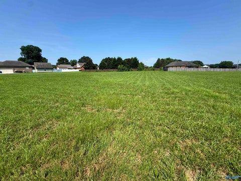 Vacant Land For Sale - LOT 28 Dorchester Street<br/> Albertville, AL 35951