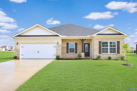 111 Old Dirt Road Meridianville AL 35759