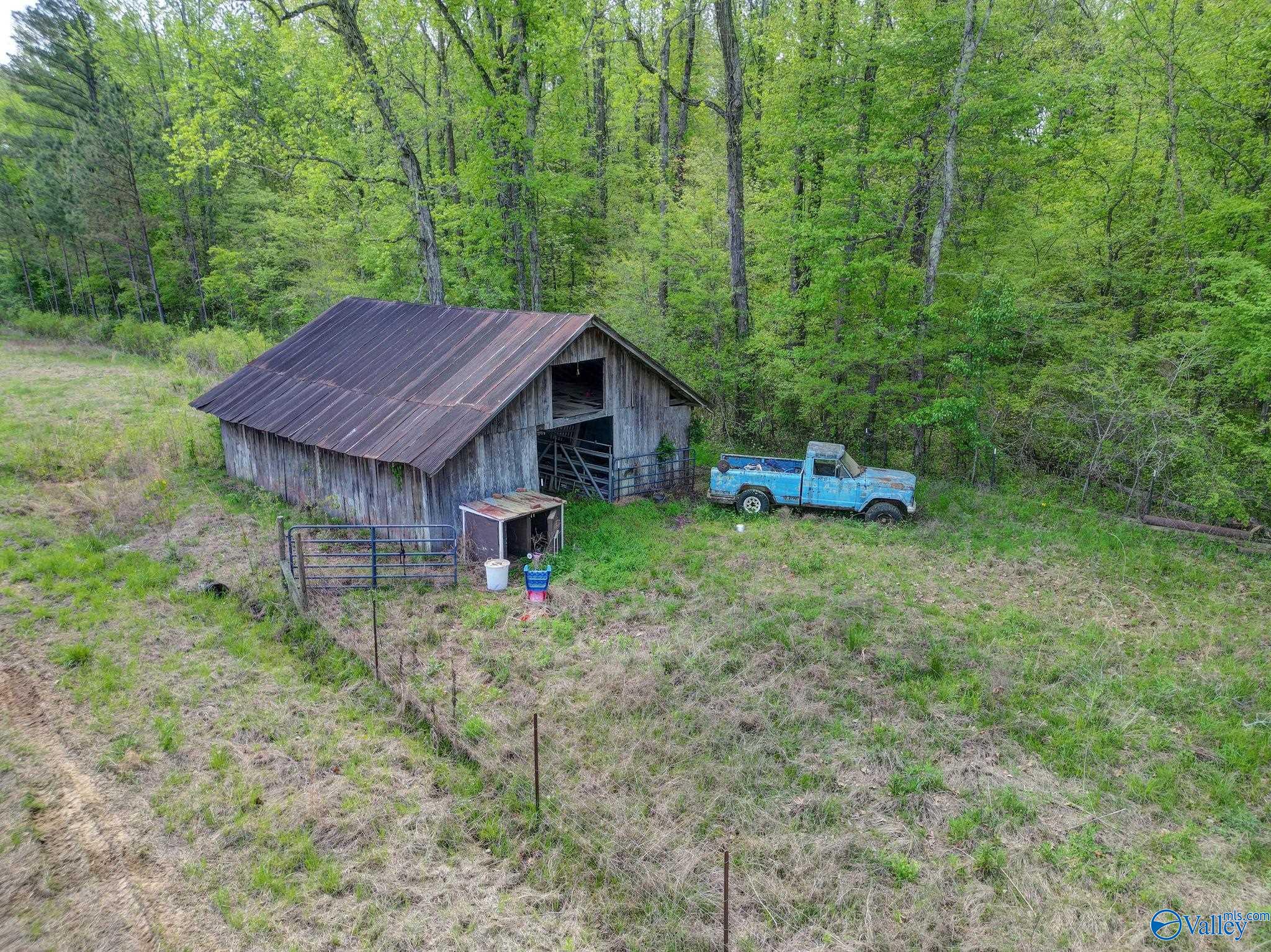 21316 County Road 460, Trinity, Alabama image 42