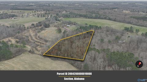 Vacant Land For Sale - 5+/- ACRES County Road 49<br/> Jackson County, Section, AL 35771