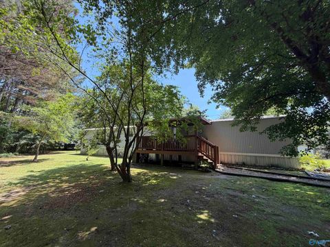 Homes For Sale - 460 Blythe Mcdaniel Drive<br/> Gadsden, AL 35901