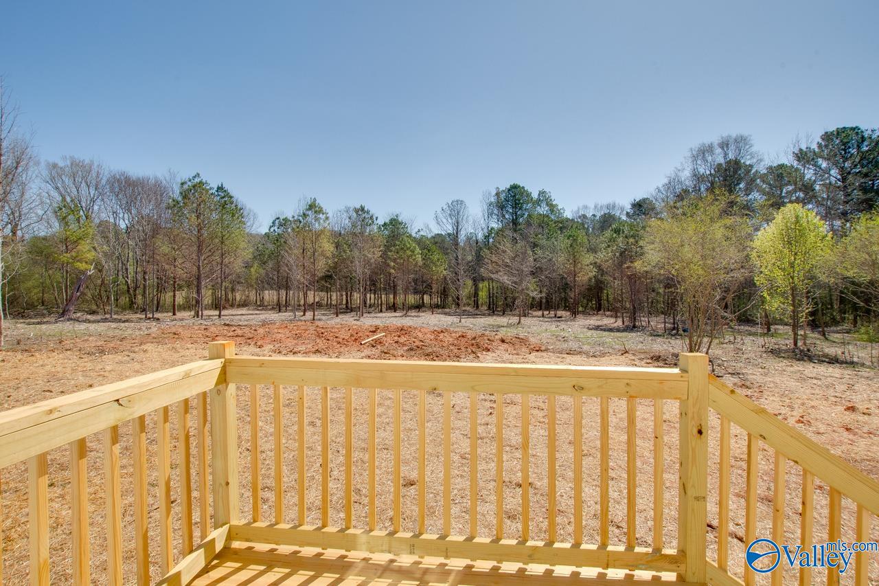 7163 Al Hwy 36, Laceys Spring, Alabama image 30