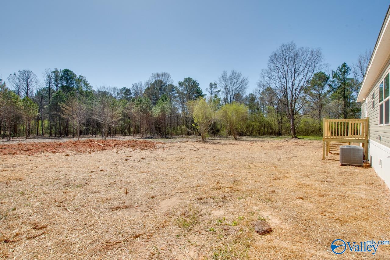 7163 Al Hwy 36, Laceys Spring, Alabama image 3