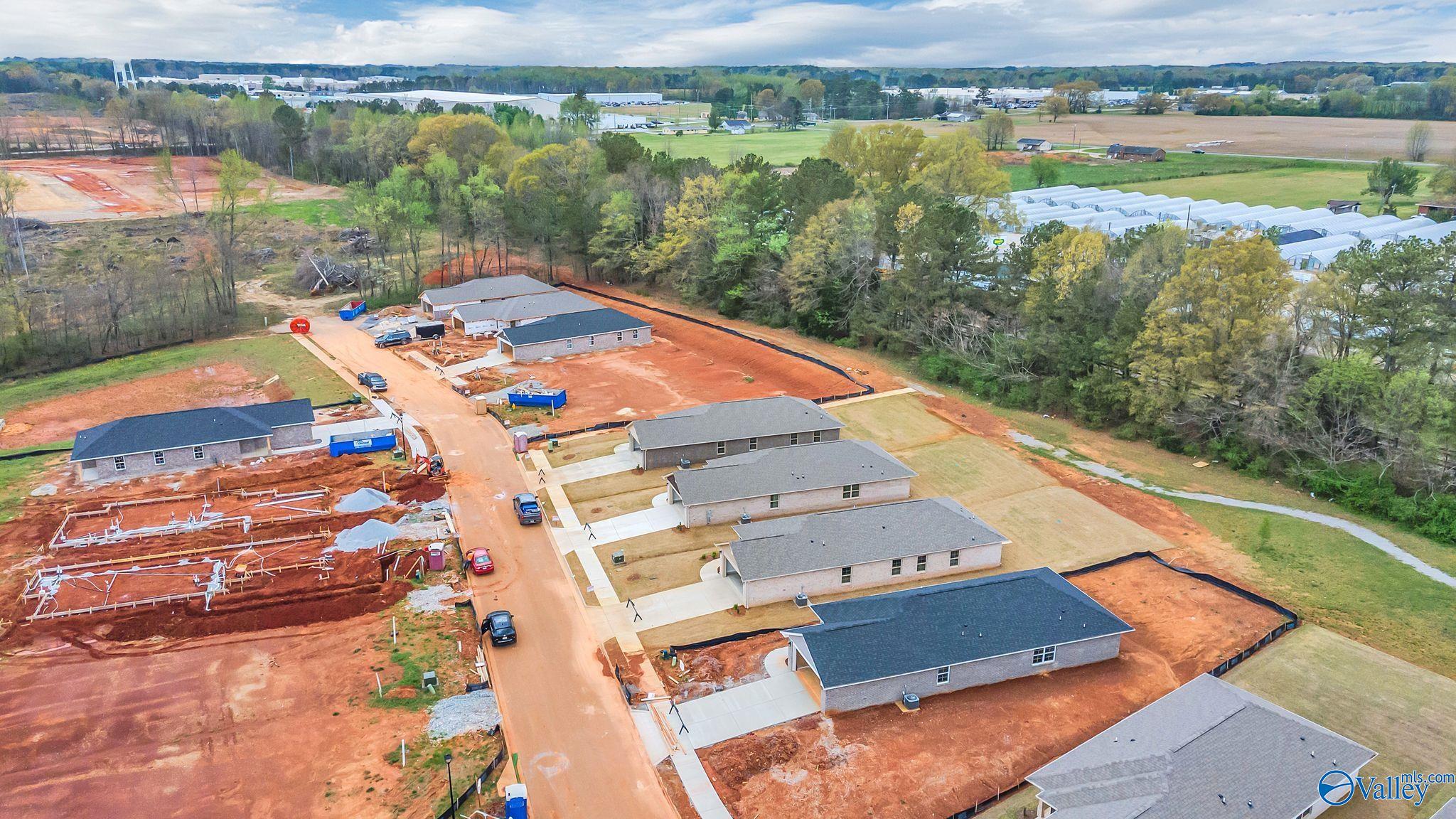 15284 Lapwing Cove, Athens, Alabama image 30