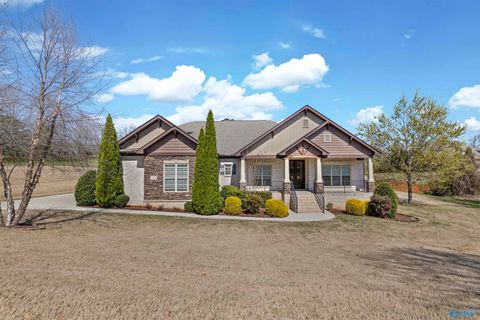 Photo of 8479 Sedgebrook Drive SE, Owens Cross Roads, AL 35763 (MLS # 21912646)