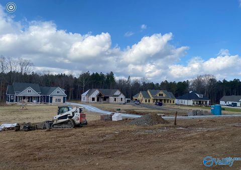 Vacant Land For Sale - 3606 Creek Path Road<br/> Marshall County, Guntersville, AL 35976