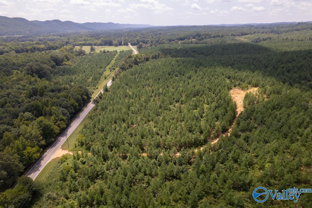 70 Acres Highway 227, Attalla, Alabama image 20