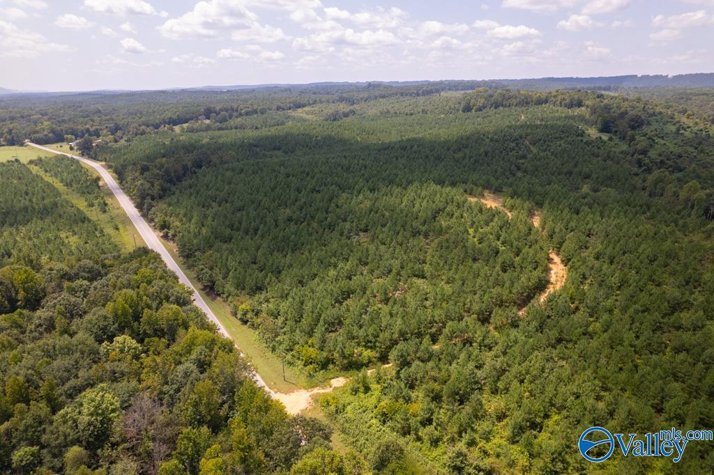 70 Acres Highway 227, Attalla, Alabama image 19