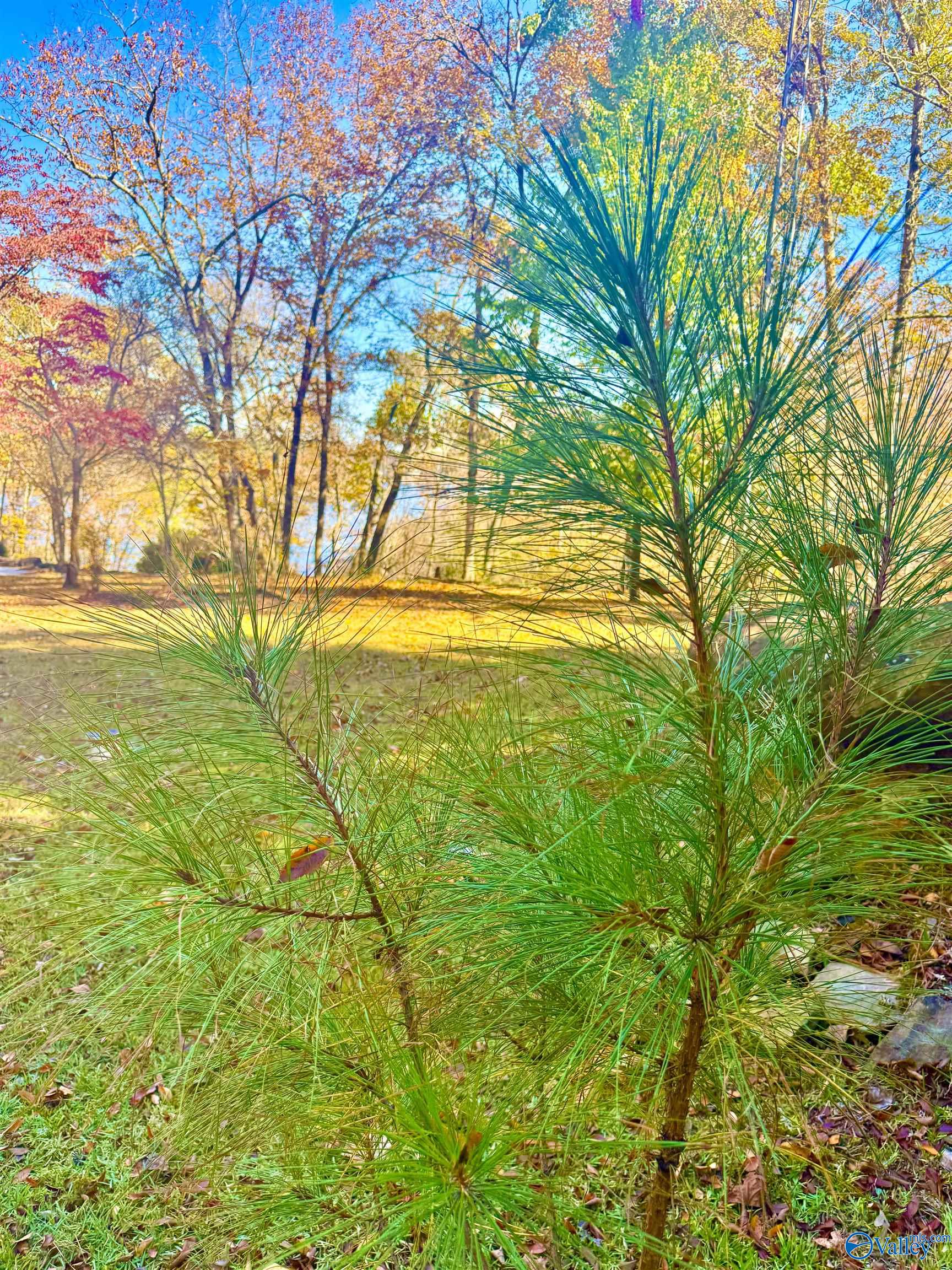 Photo 1 of 3 — .71 Acres County Road 129, Bremen, AL 35033
